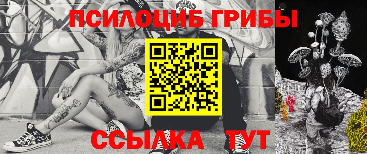 Псилоцибиновые грибы Cubensis  Вход с VPN  Урус-Мартан 